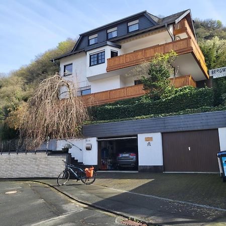 Ferienwohnung Zum Rheinblick Kestert المظهر الخارجي الصورة