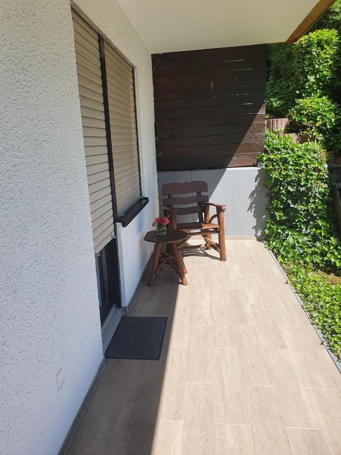 Ferienwohnung Zum Rheinblick Kestert المظهر الخارجي الصورة
