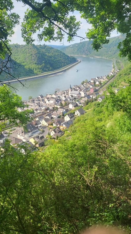 Ferienwohnung Zum Rheinblick Kestert المظهر الخارجي الصورة