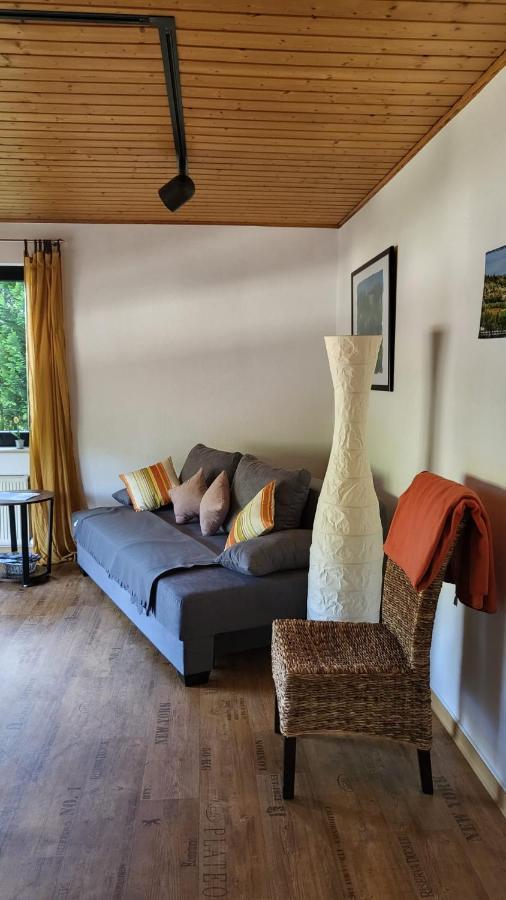 Ferienwohnung Zum Rheinblick Kestert المظهر الخارجي الصورة