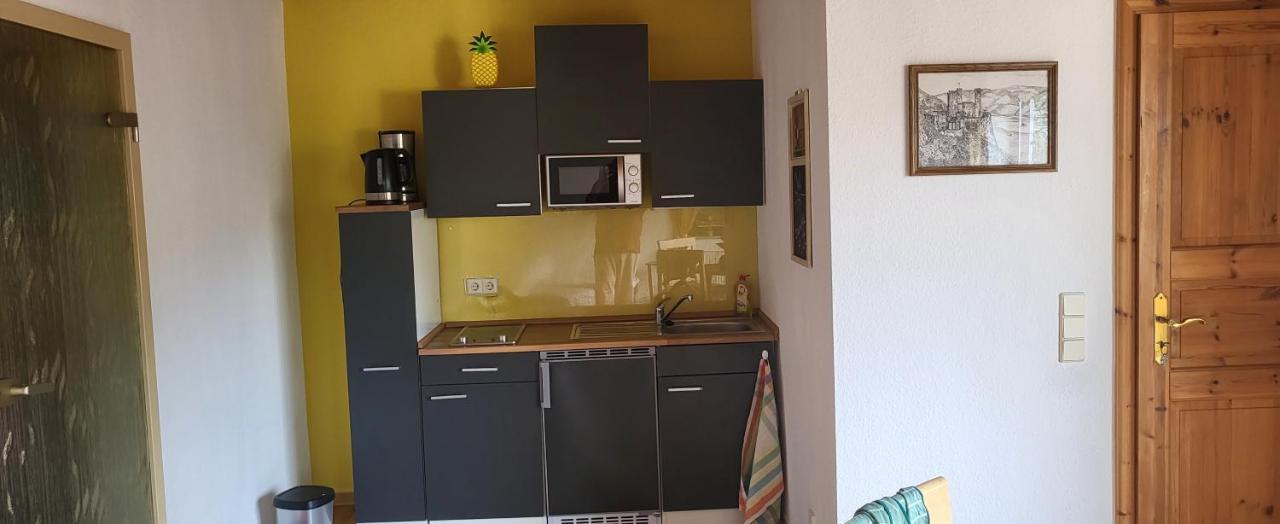 Ferienwohnung Zum Rheinblick Kestert المظهر الخارجي الصورة